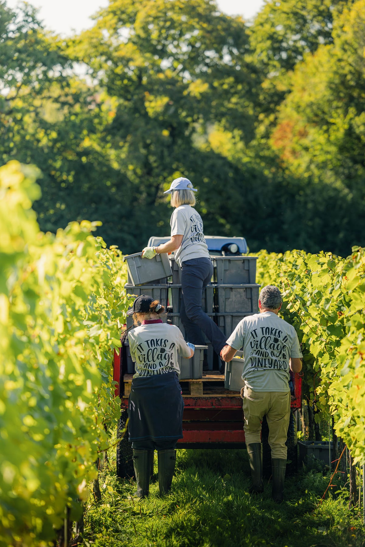Harvest